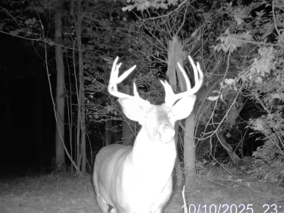 Screen Shot 2026 02 23 At 1 53 25 Am