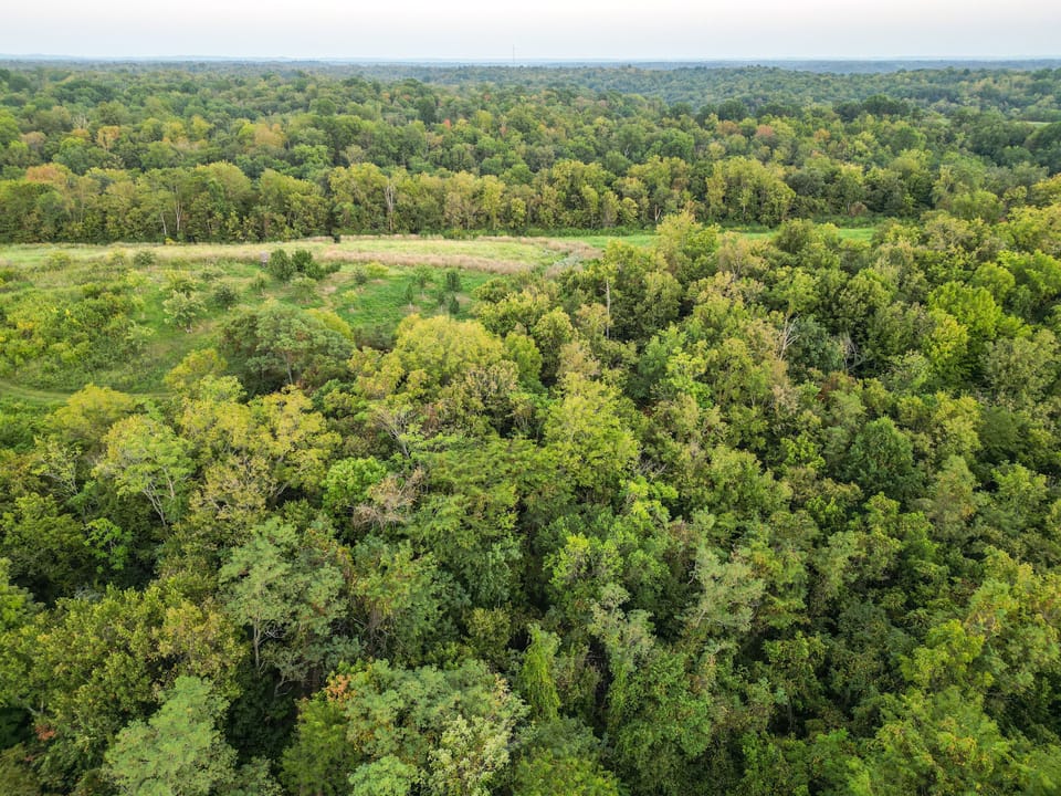 Dji 0761