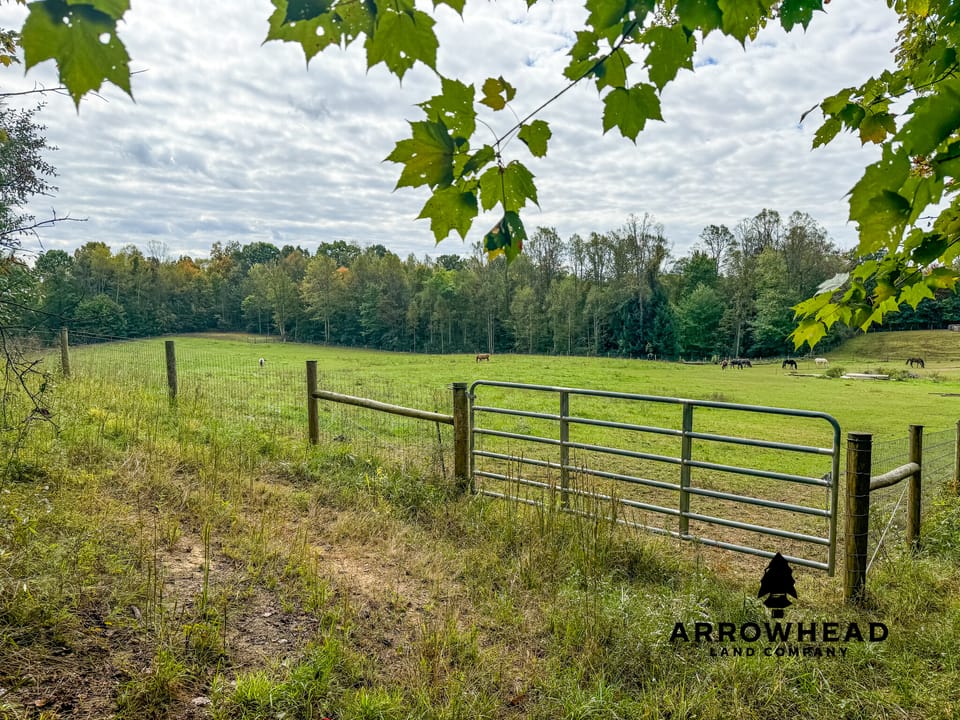 Beautiful Country Living Horse Property