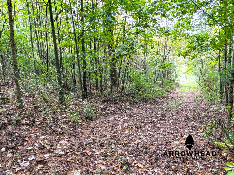Beautiful Country Living Horse Property