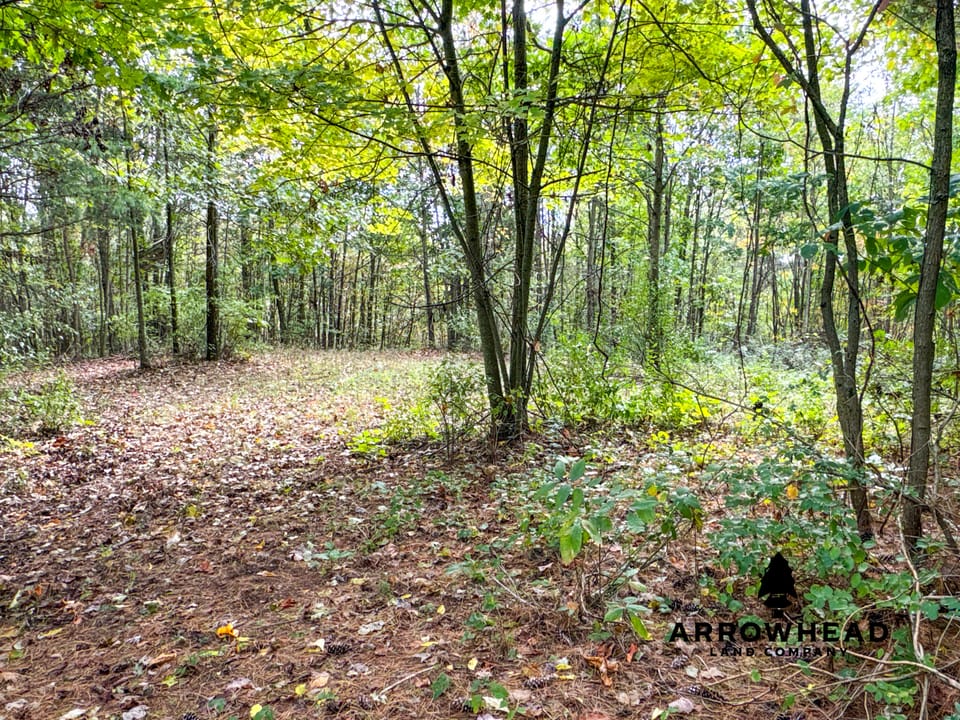 Beautiful Country Living Horse Property