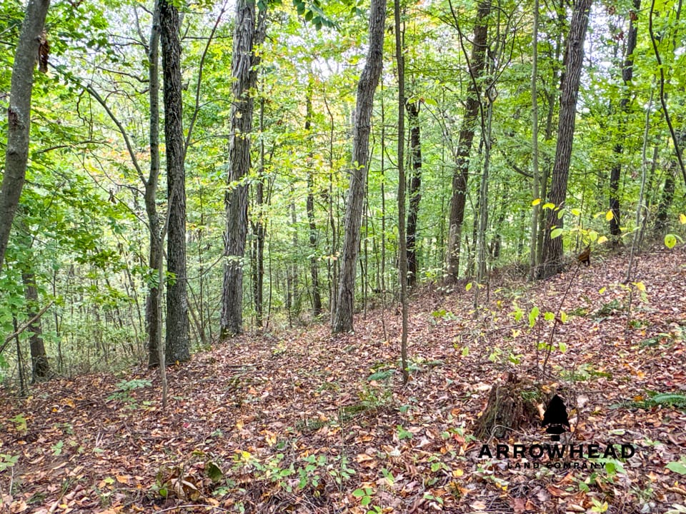 Beautiful Country Living Horse Property
