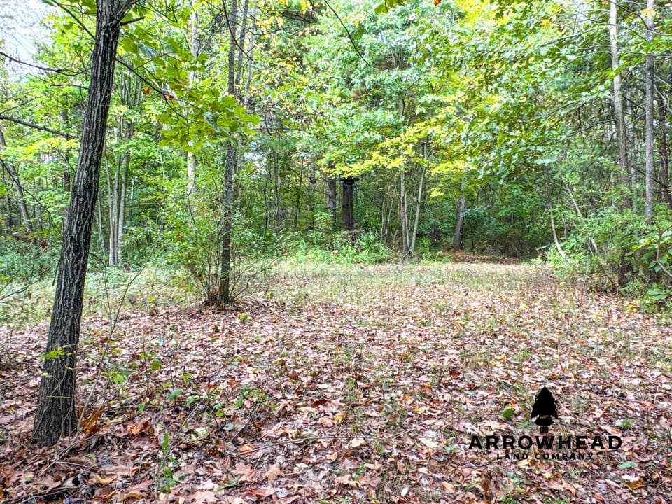 Beautiful Country Living Horse Property