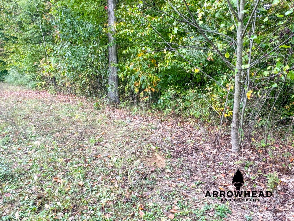 Beautiful Country Living Horse Property