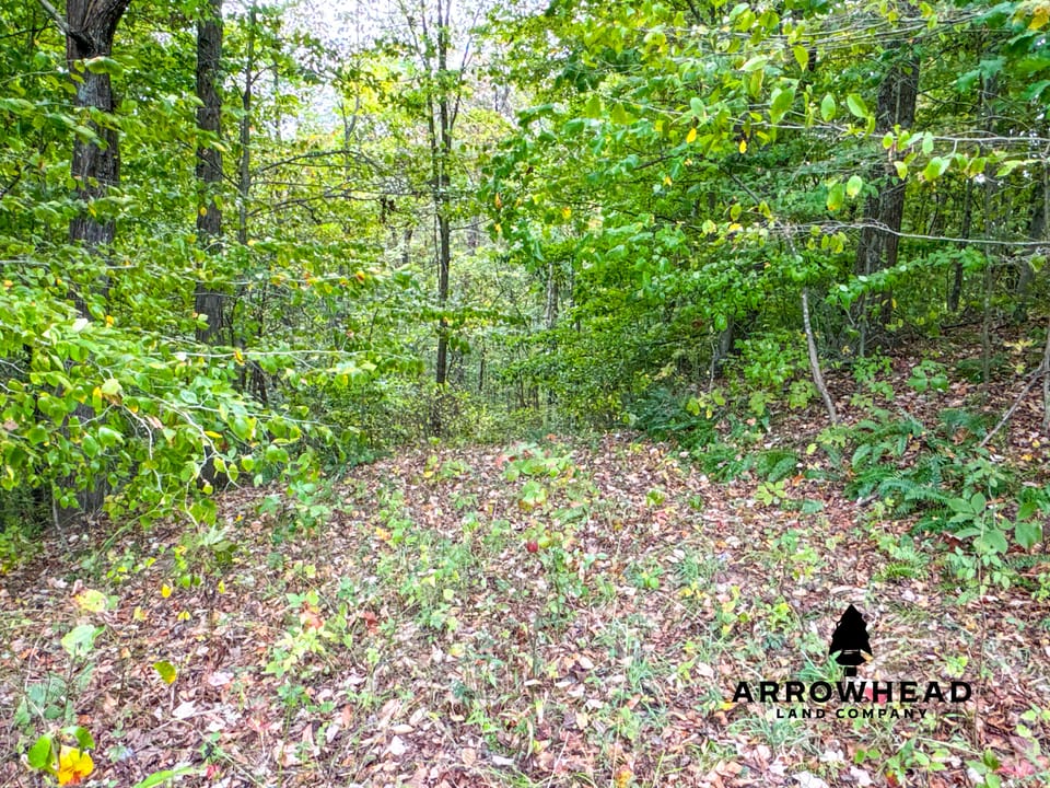 Beautiful Country Living Horse Property