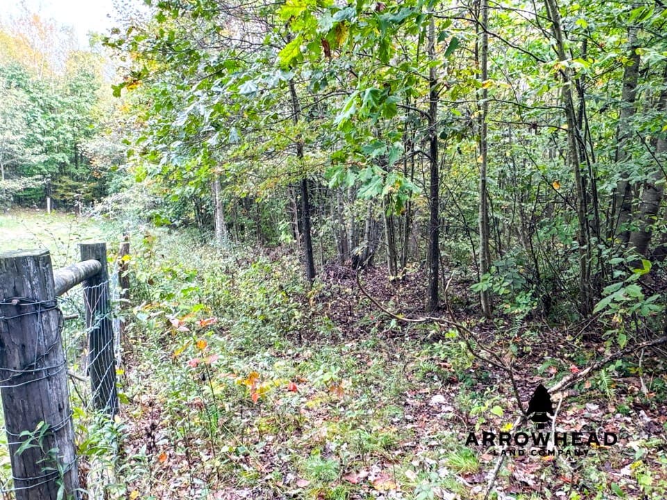 Beautiful Country Living Horse Property