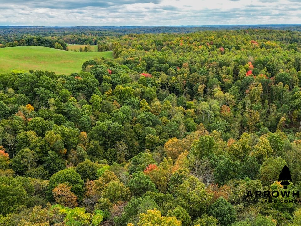 Beautiful Country Living Horse Property