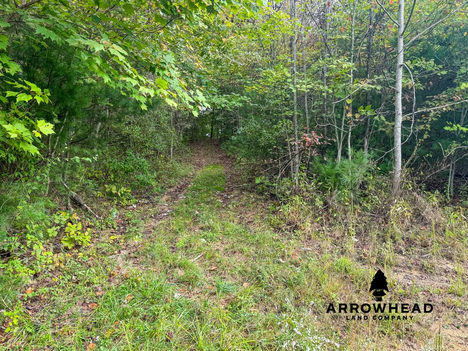 Beautiful Country Living Horse Property