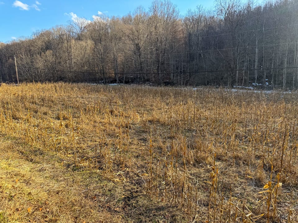 Turn-Key Hunting Farm