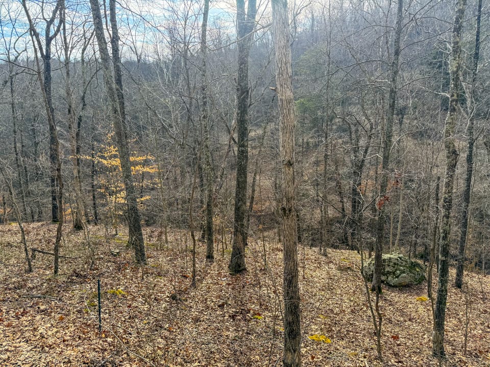 Turn-Key Hunting Farm