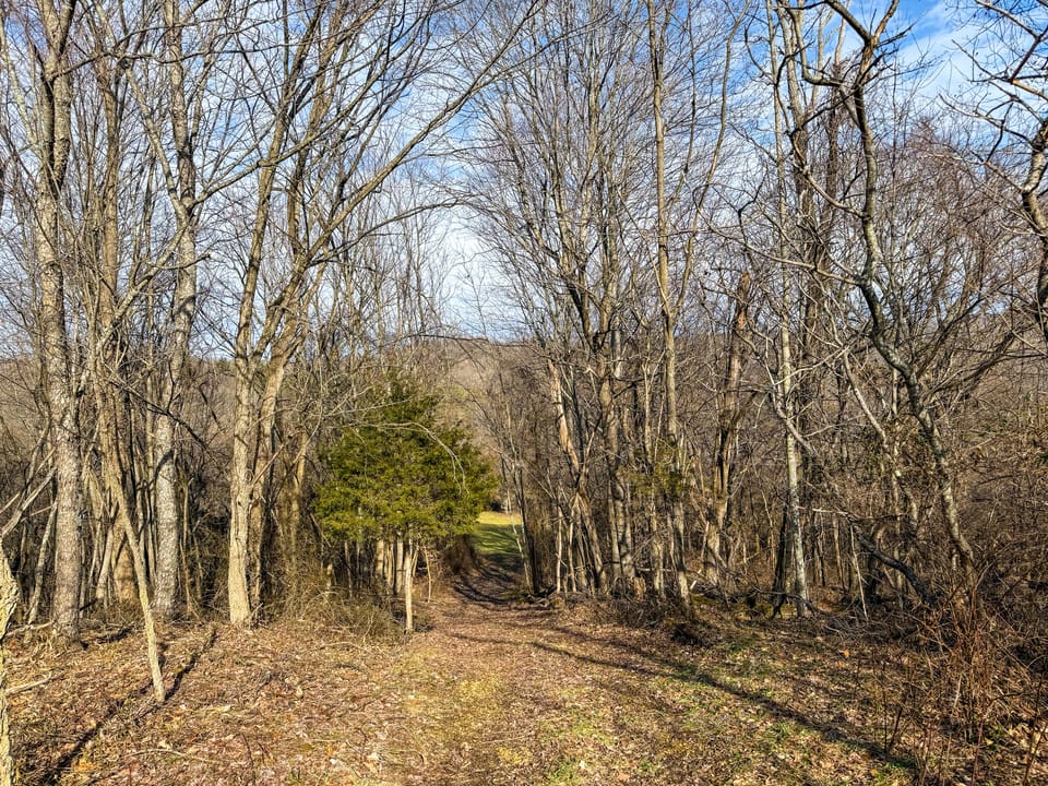 Turn-Key Hunting Farm