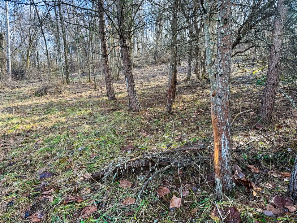 Turn-Key Hunting Farm