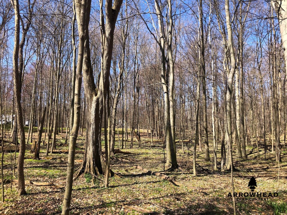 Wooded, Country-Living Build Site