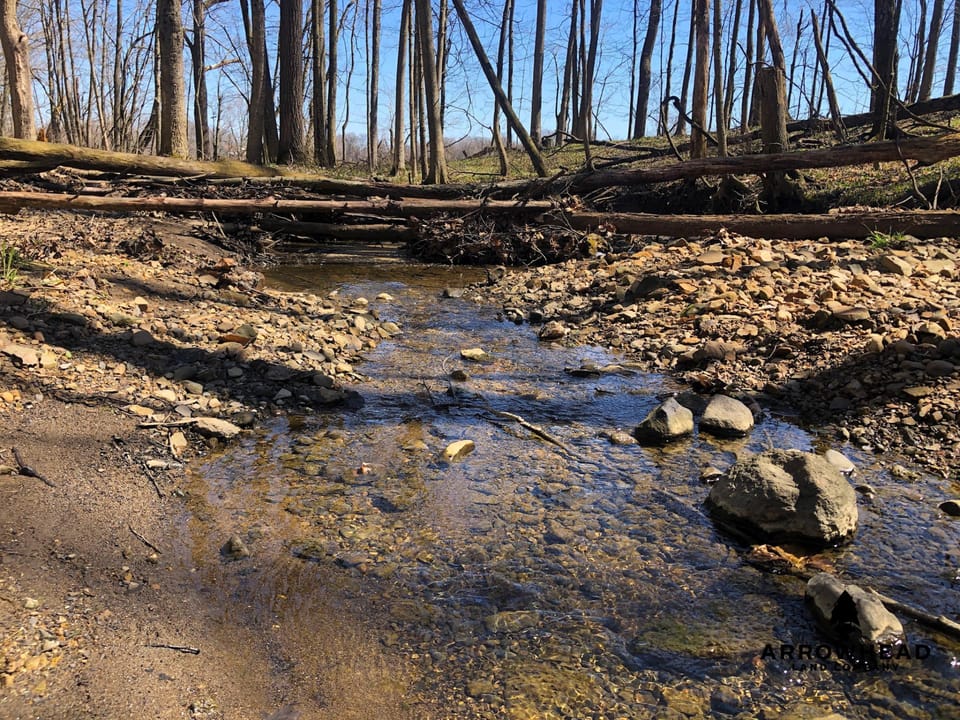 Wooded, Country-Living Build Site