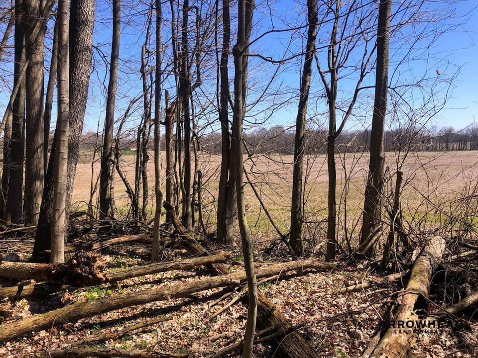 Wooded, Country-Living Build Site