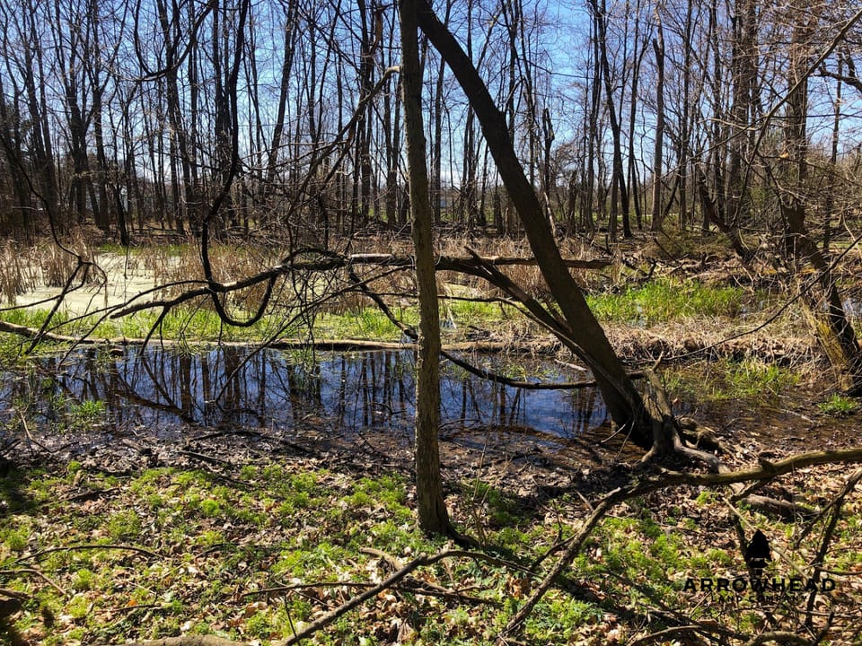Wooded, Country-Living Build Site