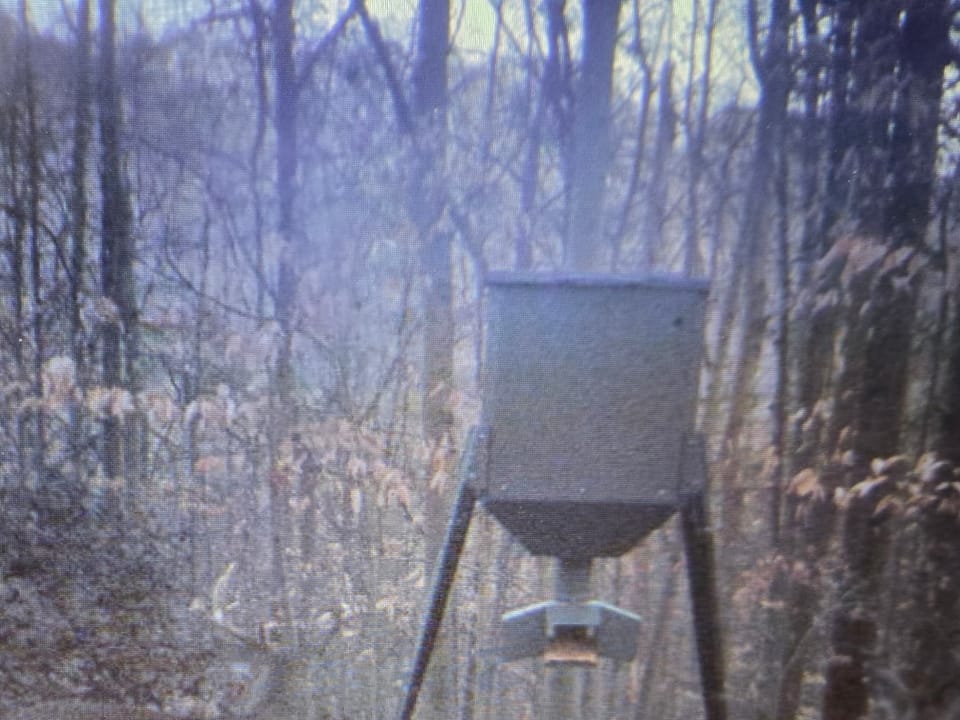 Beautiful Cabin and Hunting Land