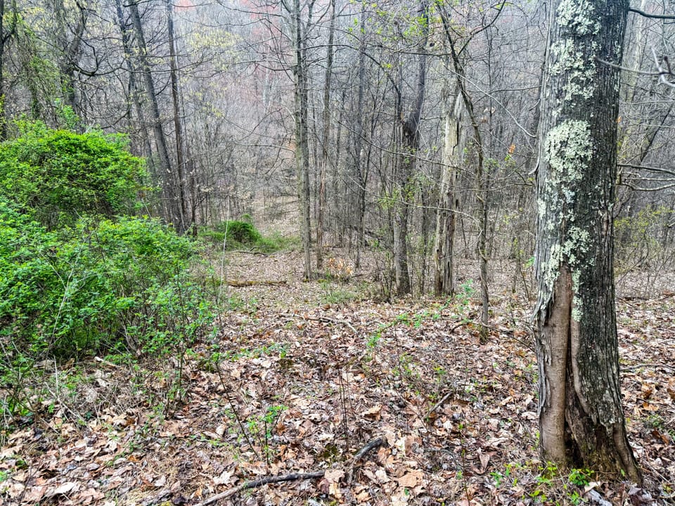 Beautiful Cabin and Hunting Land