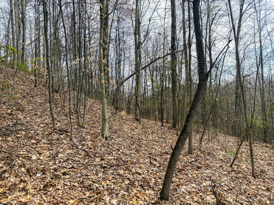 Beautiful Cabin and Hunting Land