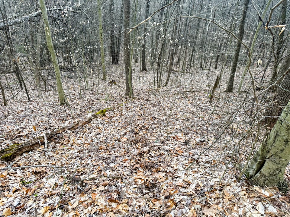 Beautiful Cabin and Hunting Land