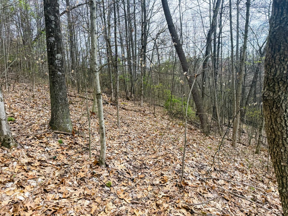 Beautiful Cabin and Hunting Land
