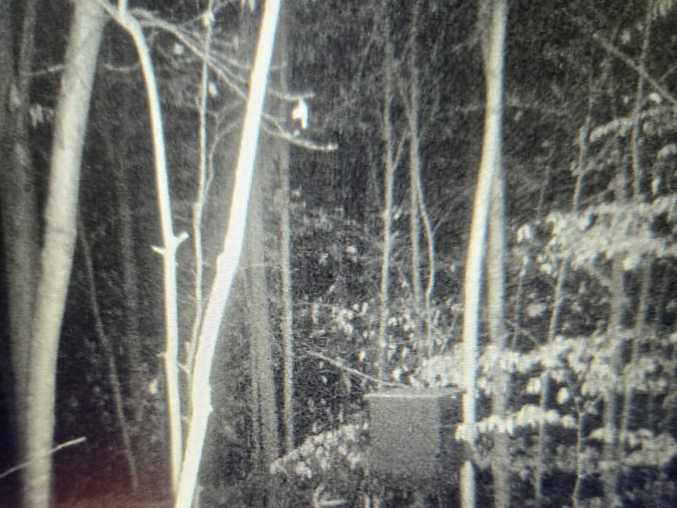 Beautiful Cabin and Hunting Land