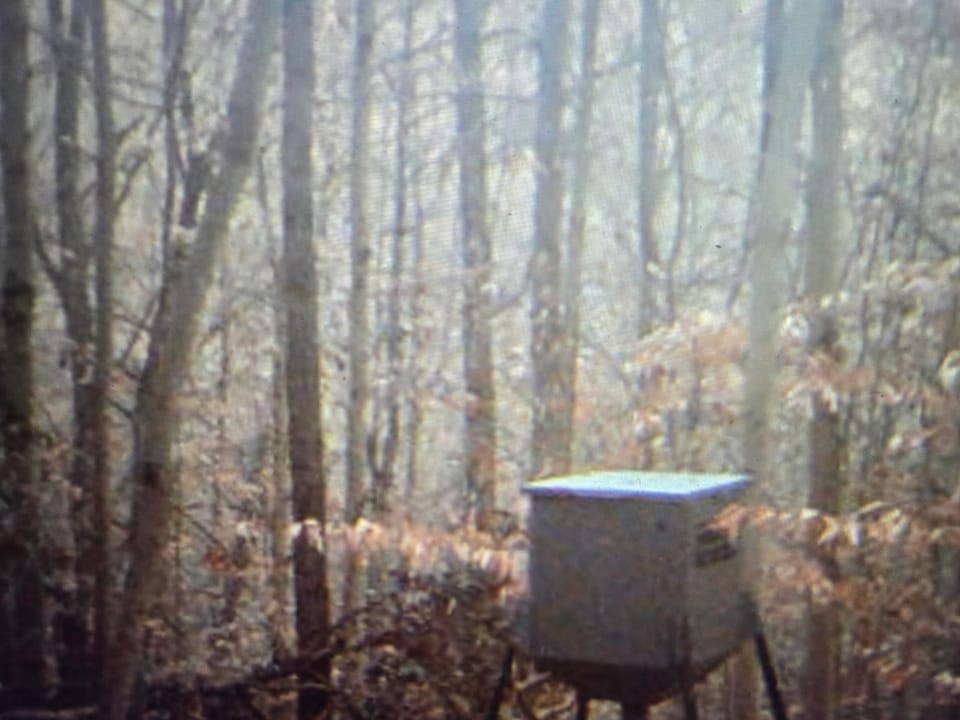 Beautiful Cabin and Hunting Land