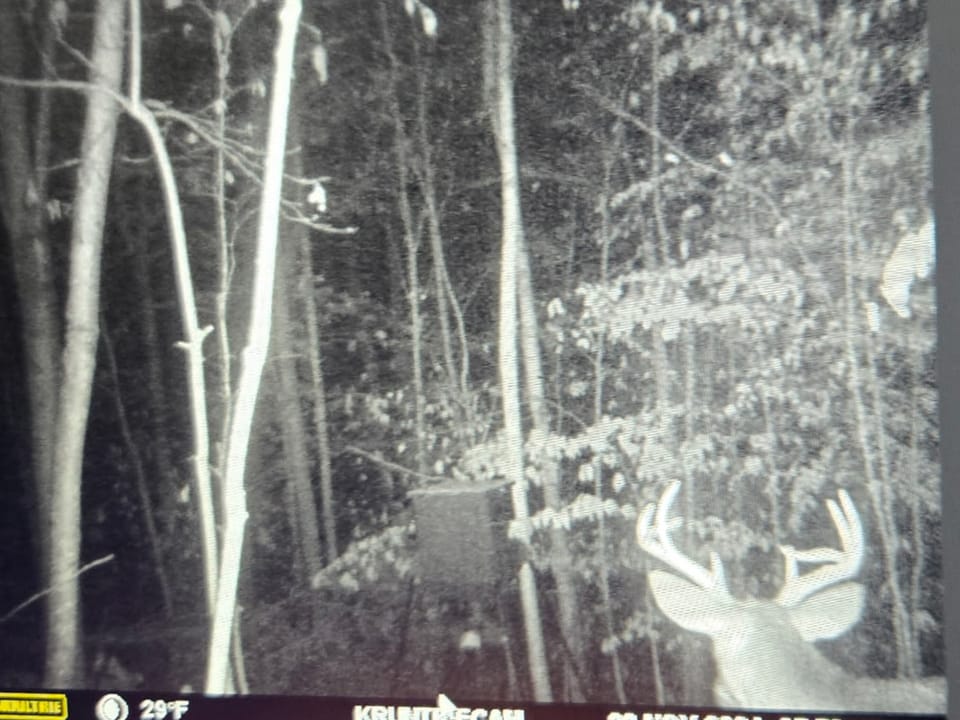 Beautiful Cabin and Hunting Land