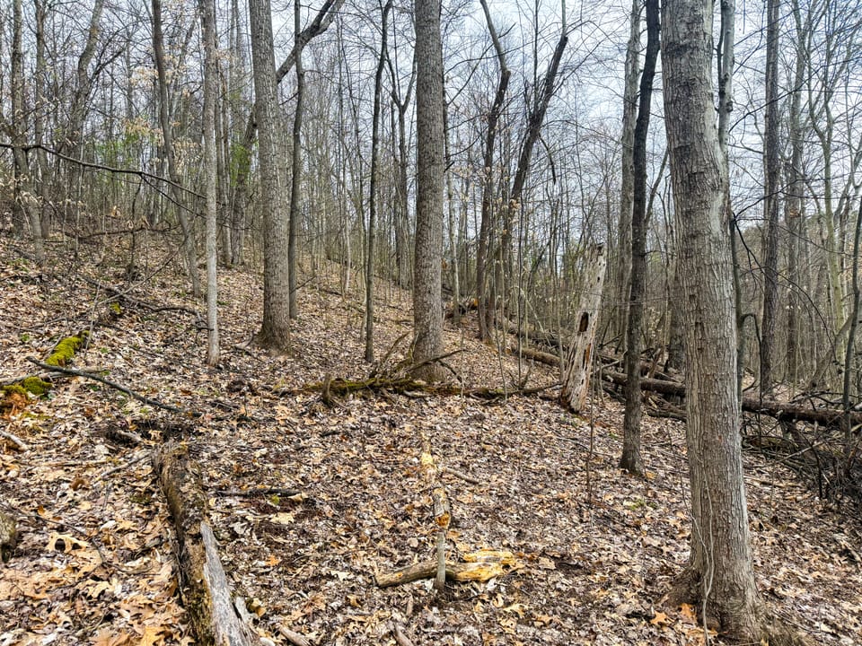 Beautiful Cabin and Hunting Land