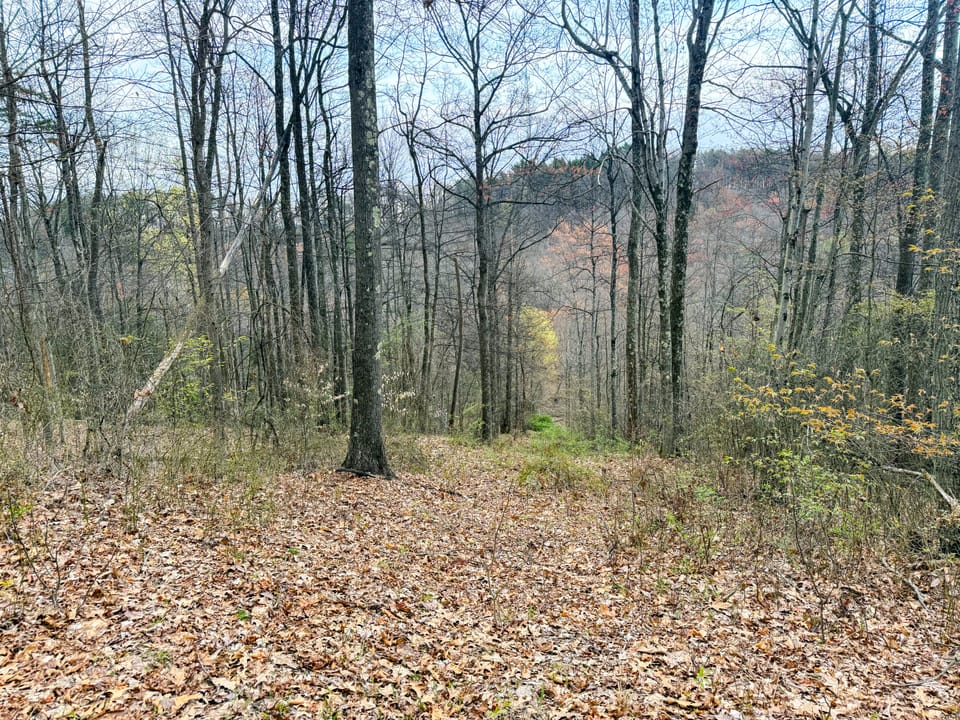Beautiful Cabin and Hunting Land