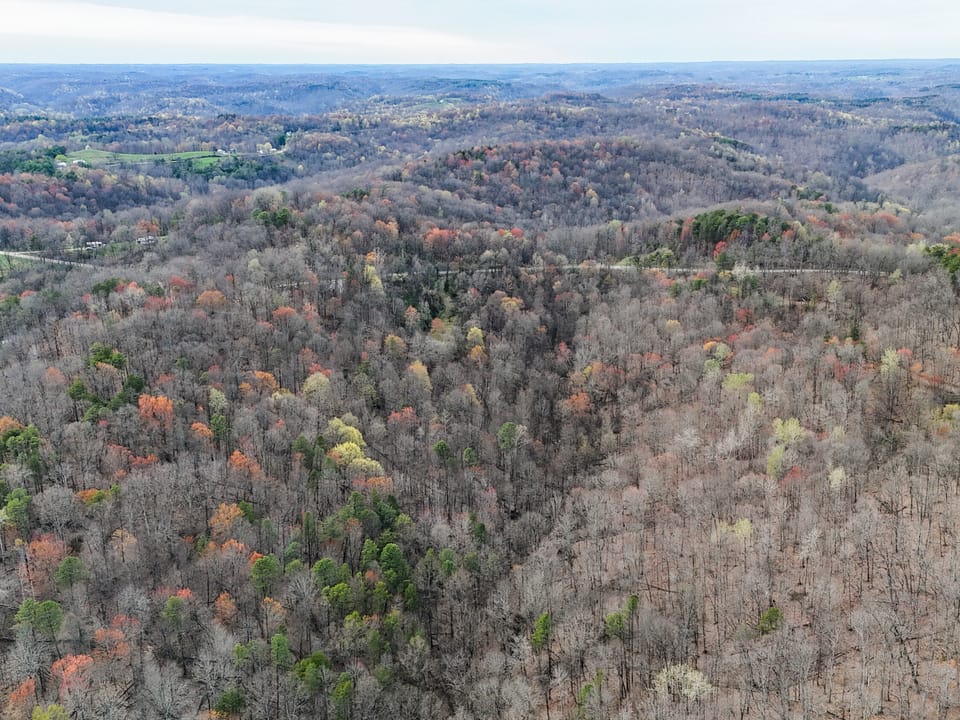 Beautiful Cabin and Hunting Land