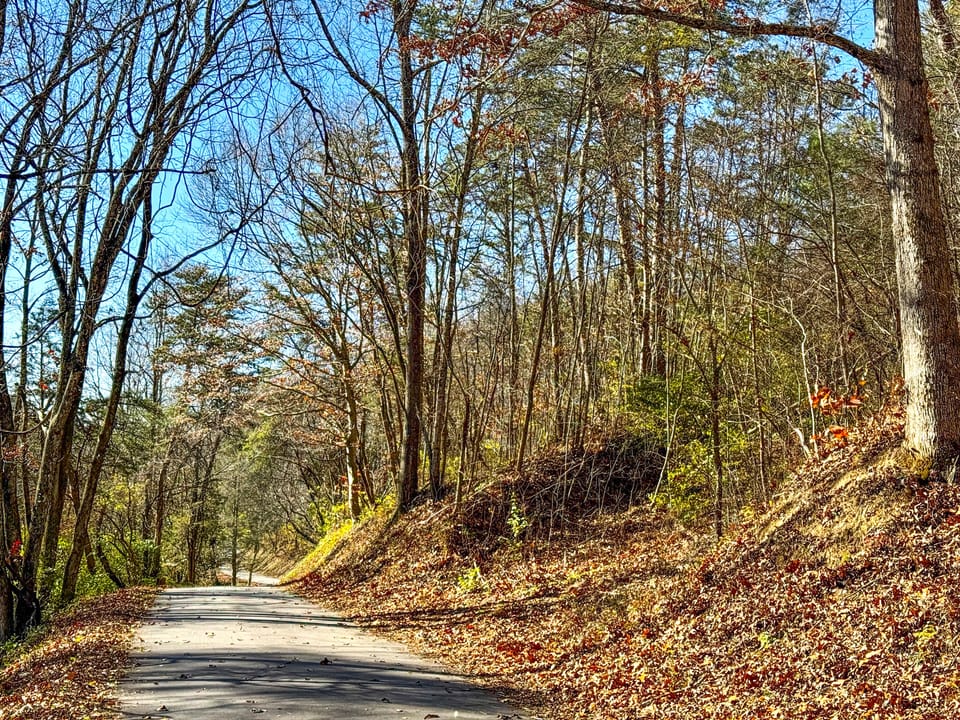 Damewood Hollow Property