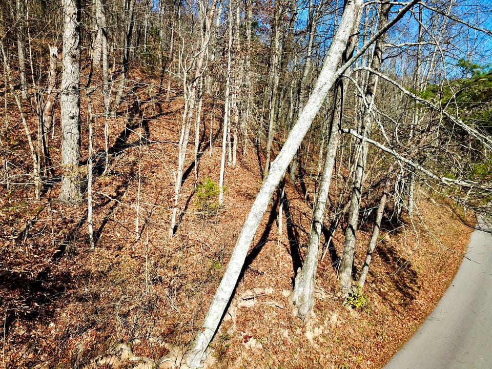 Damewood Hollow Property