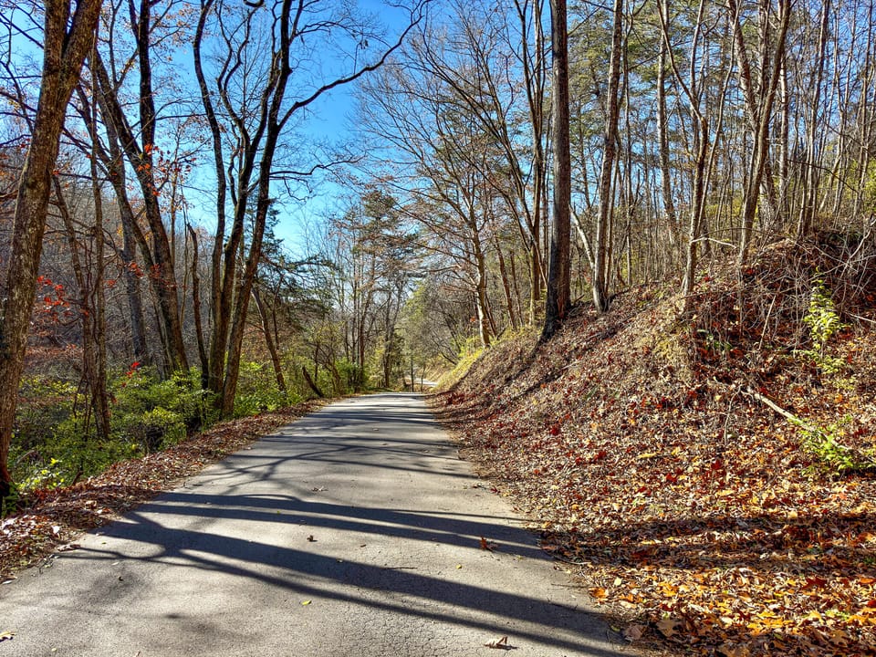 Damewood Hollow Property
