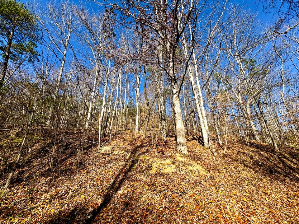 Damewood Hollow Property