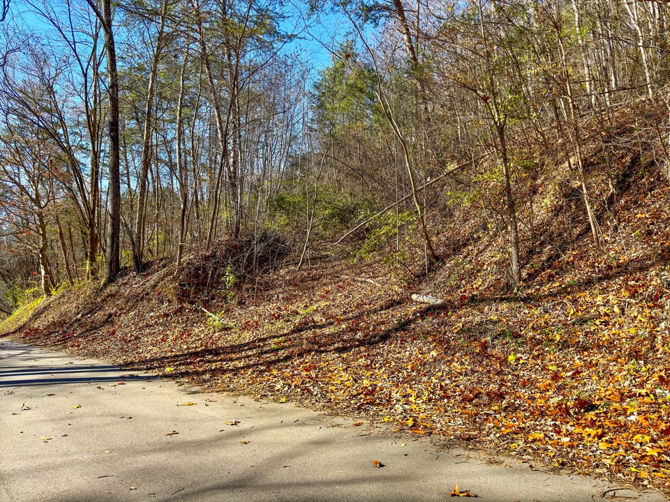 Damewood Hollow Property