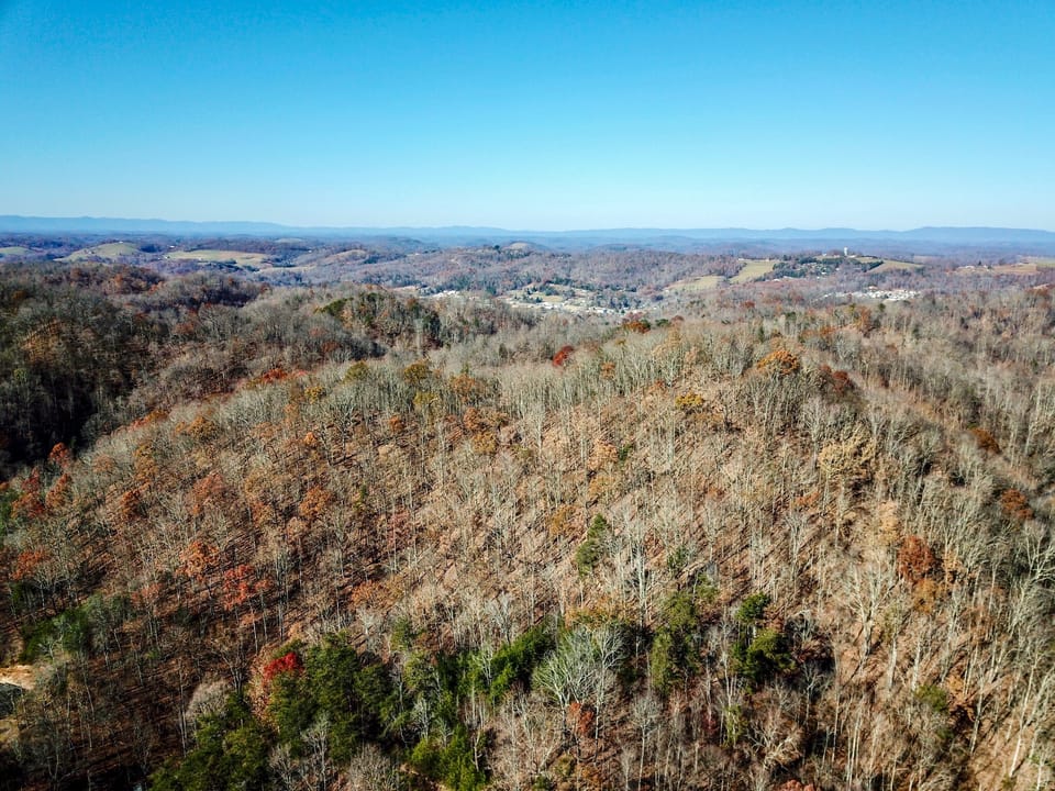 Damewood Hollow Property