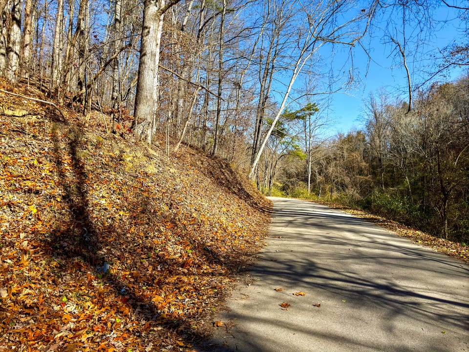 Damewood Hollow Property
