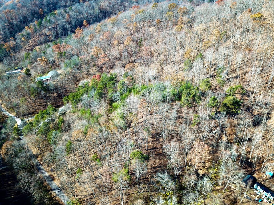 Damewood Hollow Property