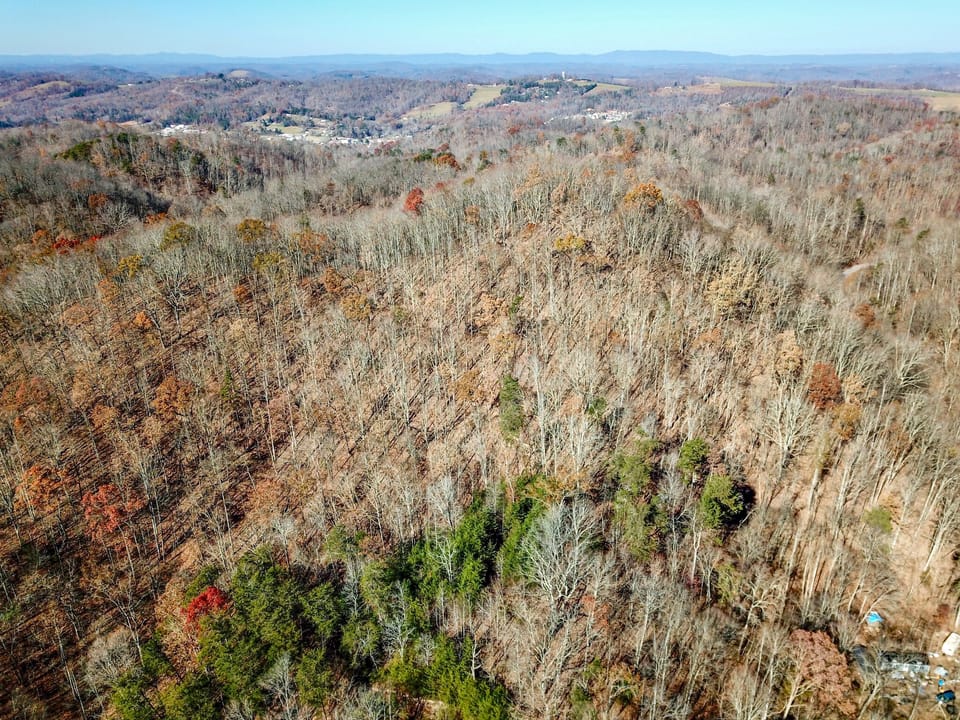 Damewood Hollow Property
