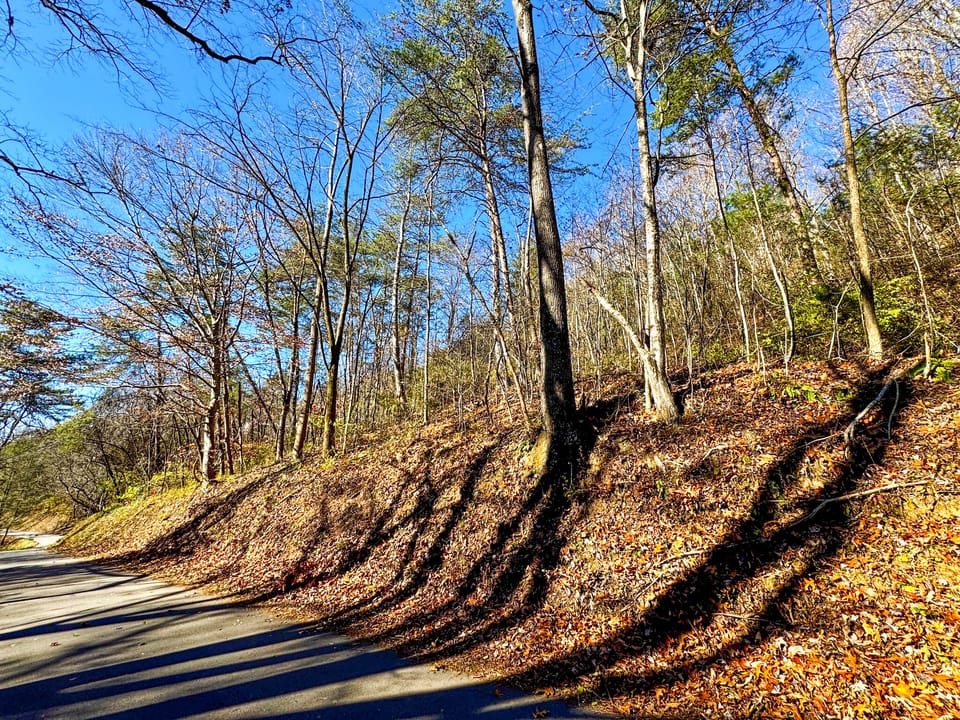 Damewood Hollow Property