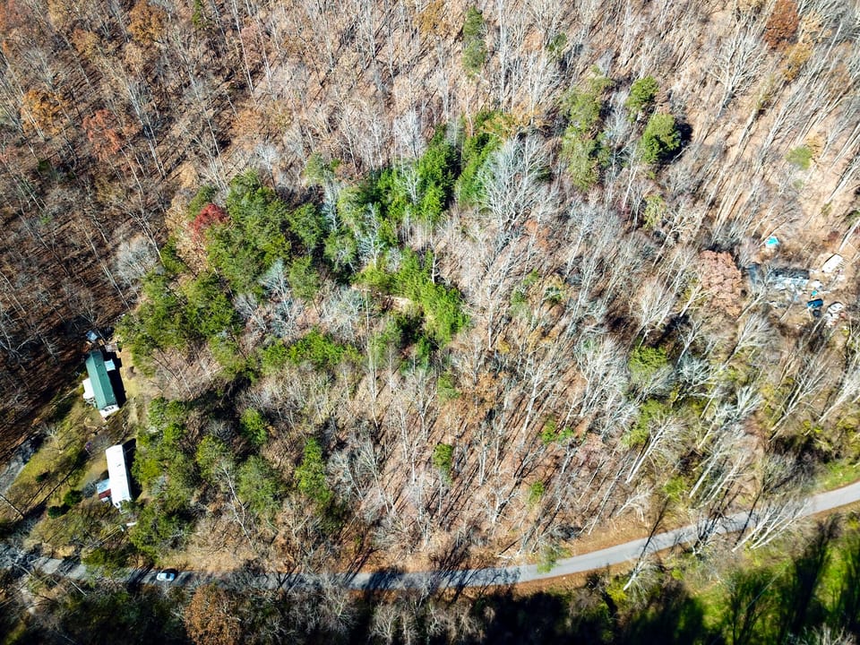 Damewood Hollow Property