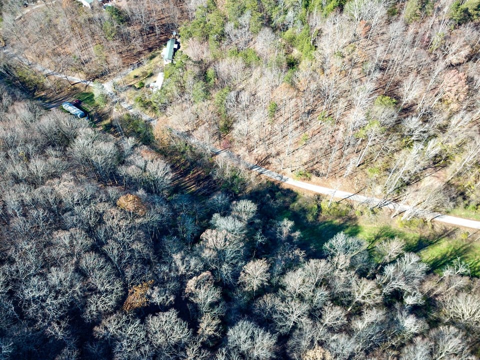 Damewood Hollow Property