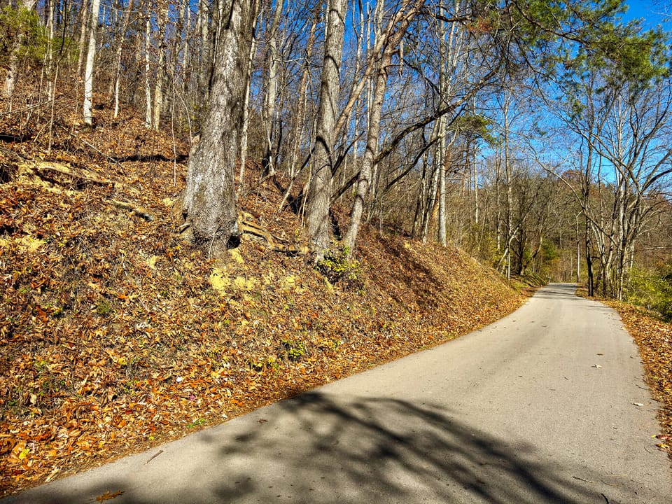 Damewood Hollow Property