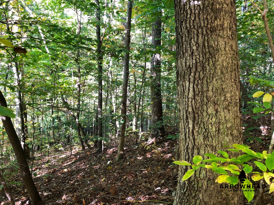 Blake Hollow Ridge