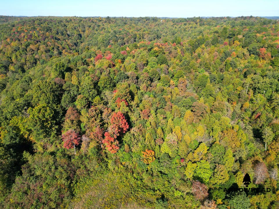 Blake Hollow Ridge