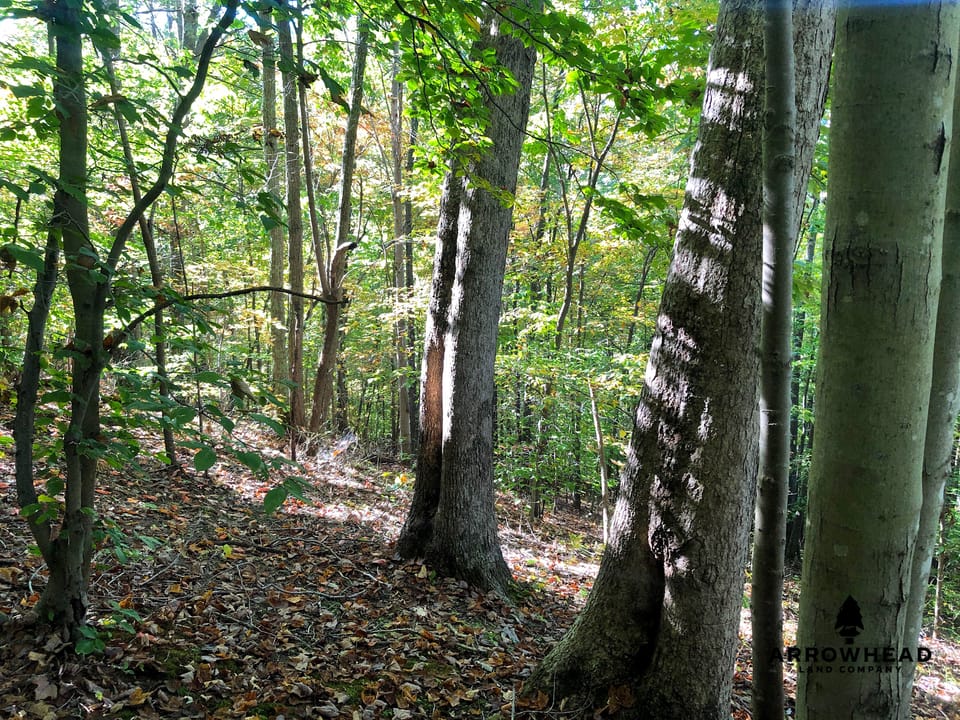 Blake Hollow Ridge