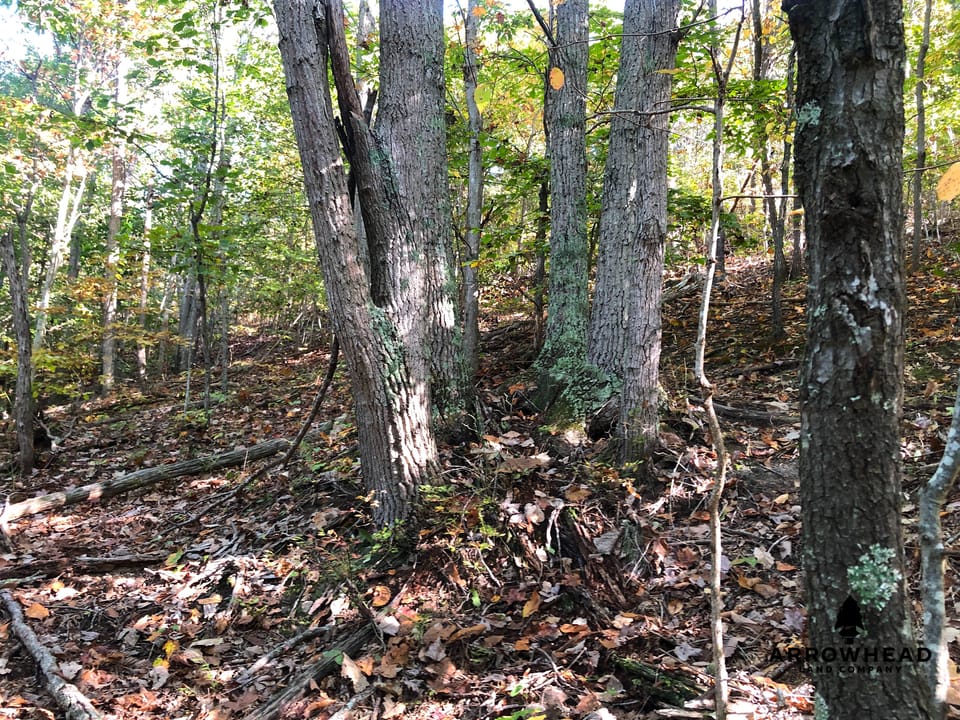 Blake Hollow Ridge