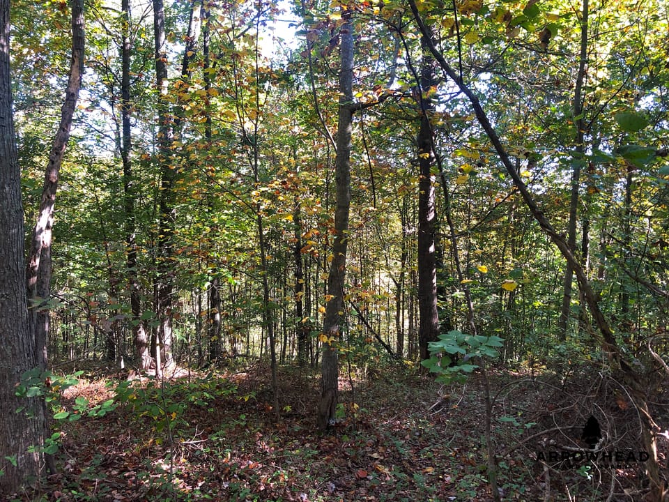 Blake Hollow Ridge