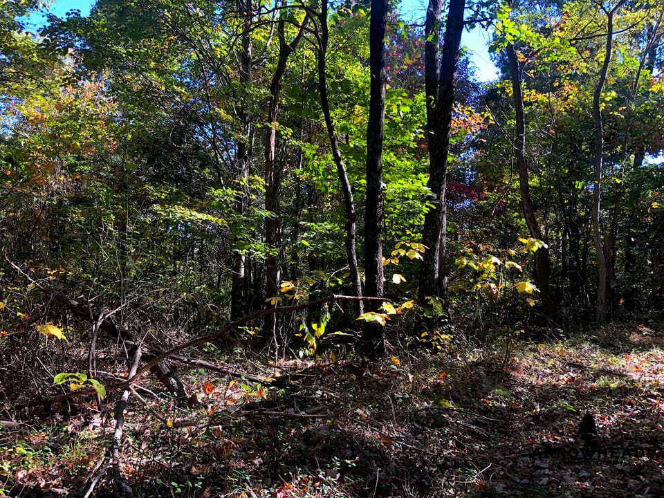 Blake Hollow Ridge